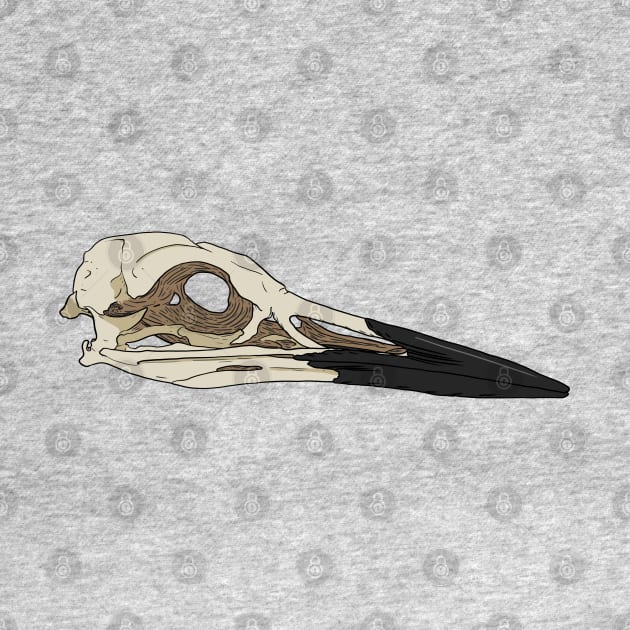 Bird Skull by Kristal Stittle